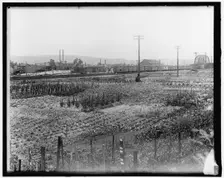 War Garden Commission, between 1910 and 1920. Creator: Harris & Ewing