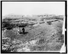War Garden Commission, between 1910 and 1920. Creator: Harris & Ewing