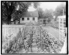 War Garden Commission, between 1910 and 1920. Creator: Harris & Ewing
