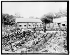 War Garden Commission, between 1910 and 1920. Creator: Harris & Ewing