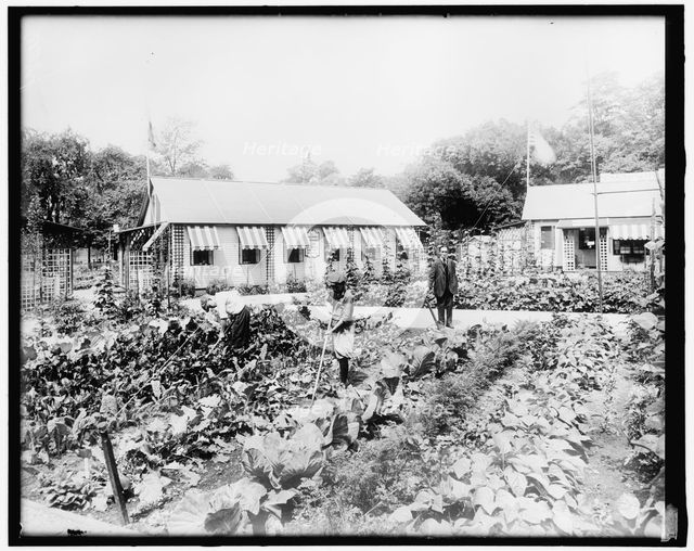 War Garden Commission, between 1910 and 1920. Creator: Harris & Ewing.