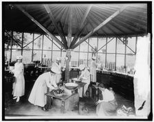 War Garden Commission, between 1910 and 1920. Creator: Harris & Ewing