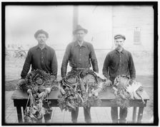 War Garden Commission, between 1910 and 1920. Creator: Harris & Ewing