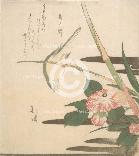 Warbler and Camellia, ca. 1815-20. Creator: Totoya Hokkei.