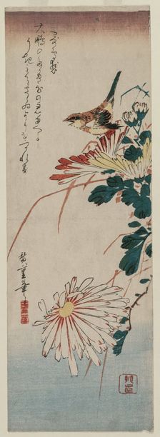 Warbler and Chrysanthemums, mid 1830s. Creator: Ando Hiroshige (Japanese, 1797-1858)