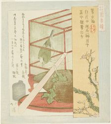 Warbler in a cage, from the series "A Series for the Hanazono Group (Hanazono bantsuzuki)", 1823. Creator: Totoya Hokkei