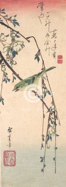 Warbler on a Plum Branch , ca. 1835., ca. 1835. Creator: Ando Hiroshige.