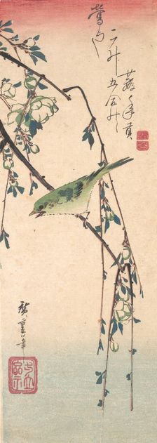 Warbler on a Plum Branch , ca. 1835., ca. 1835. Creator: Ando Hiroshige