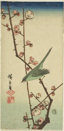 Warbler on plum branch, n.d. Creator: Ando Hiroshige