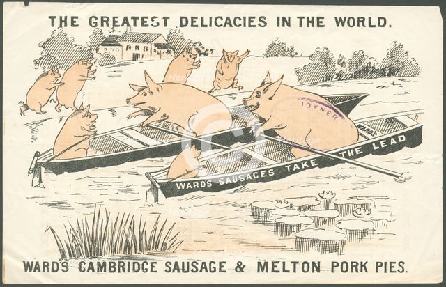 Ward's meat products, 1890s. Artist: Unknown