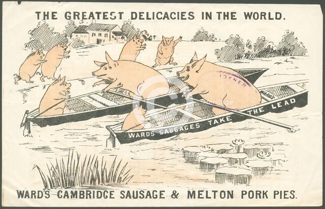Ward's meat products, 1890s. Artist: Unknown