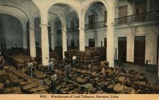 Warehouse of Leaf Tobacco, Havana, Cuba c1910
