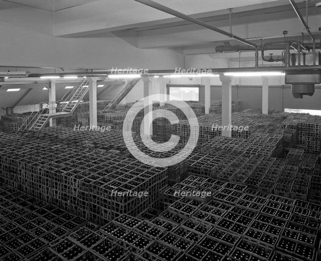 Warehouse full of crates of bottles, Ward & Sons, Swinton, South Yorkshire, 1960.  Creator: Michael Walters.