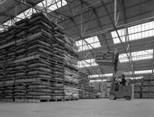Warehouse scene with forklift truck, Spillers Foods, Gainsborough, Lincolnshire, 1961. Creator: Michael Walters