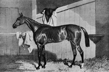 Warlock 19th century, (1911)