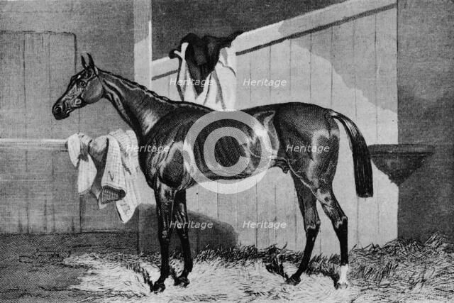 'Warlock', 19th century, (1911). Artist: Unknown.