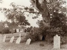 Warwick, Quinby vicinity, Accomac County, Virginia, between c1930 and 1939. Creator: Frances Benjamin Johnston