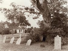 Warwick, Quinby vicinity, Accomac County, Virginia, between c1930 and 1939. Creator: Frances Benjamin Johnston