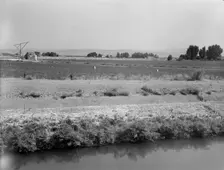 Washington, Yakima Valley, near Wapato, 1939. Creator: Dorothea Lange