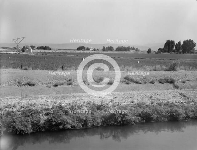 Washington, Yakima Valley, near Wapato, 1939. Creator: Dorothea Lange.