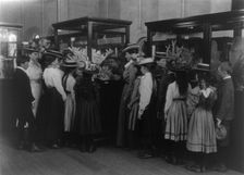 Washington, D.C. school children on field trip - at the Smithsonian, (1899?). Creator: Frances Benjamin Johnston