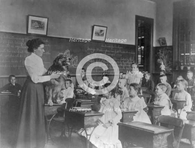 Washington, D.C. public schools, 5th Div. - teacher showing dog, (1899?). Creator: Frances Benjamin Johnston.