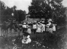 Washington, D.C. public schools - 6th Division class at zoo watching reindeer, (1899?). Creator: Frances Benjamin Johnston