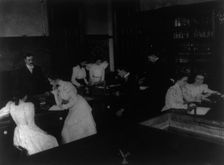 Washington, D.C. Public Schools - classroom scenes and school activities, (1899?). Creator: Frances Benjamin Johnston