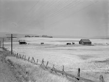 Washington, Klickitat County, near Goldendale, 1939. Creator: Dorothea Lange