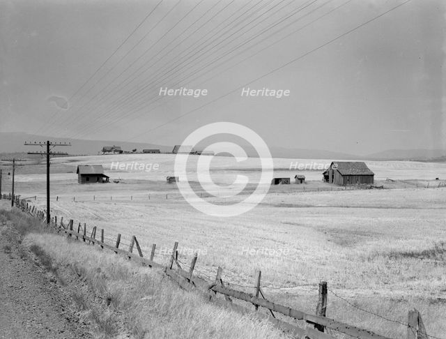 Washington, Klickitat County, near Goldendale, 1939. Creator: Dorothea Lange.