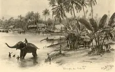 Washing an elephant in the river, Colombo, Ceylon, 1898. Creator: Christian Wilhelm Allers