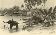 Washing an elephant in the river, Colombo, Ceylon, 1898. Creator: Christian Wilhelm Allers
