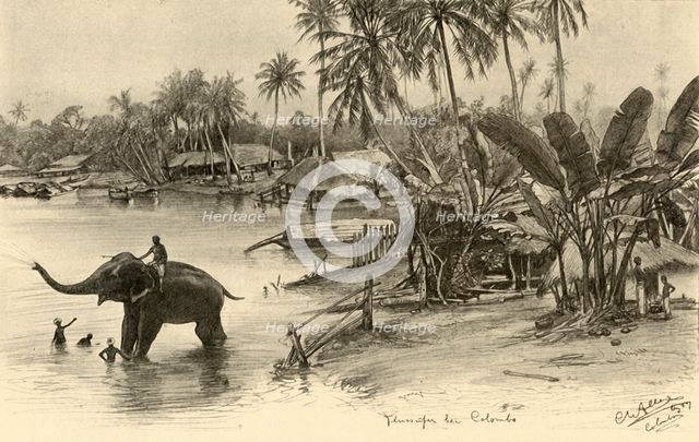 Washing an elephant in the river, Colombo, Ceylon, 1898. Creator: Christian Wilhelm Allers.
