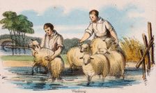 Washing c1845. Creators: Robert Kent Thomas, Benjamin Waterhouse Hawkins