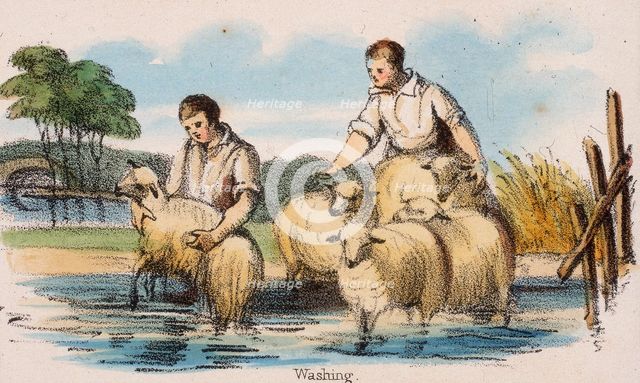 'Washing', c1845. Creators: Robert Kent Thomas, Benjamin Waterhouse Hawkins.