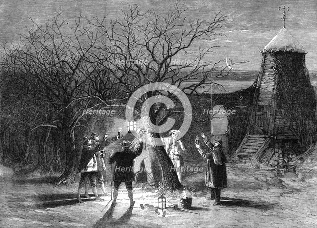 Wassailing apple trees with hot cider in Devonshire on twelfth eve, 1861. Artist: Unknown