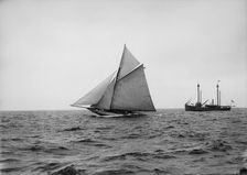 Wasp, 1894 Sept 18. Creator: John S Johnston