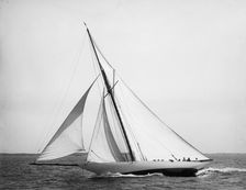 Wasp, 1896 July 25. Creator: John S Johnston