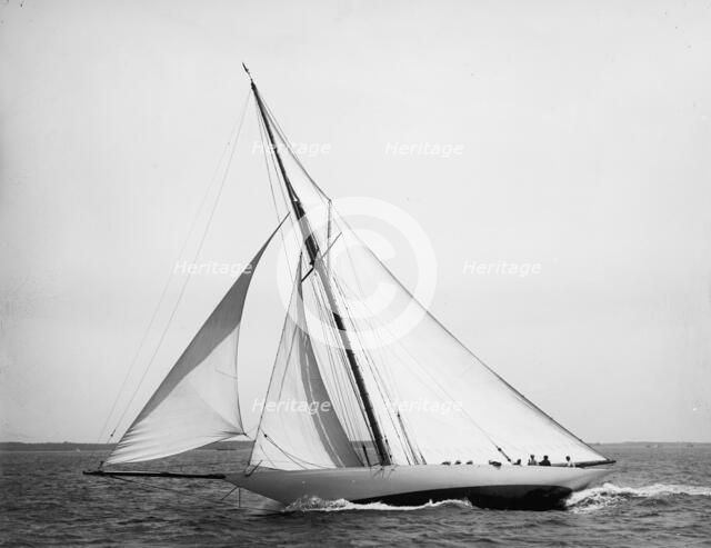 Wasp, 1896 July 25. Creator: John S Johnston.