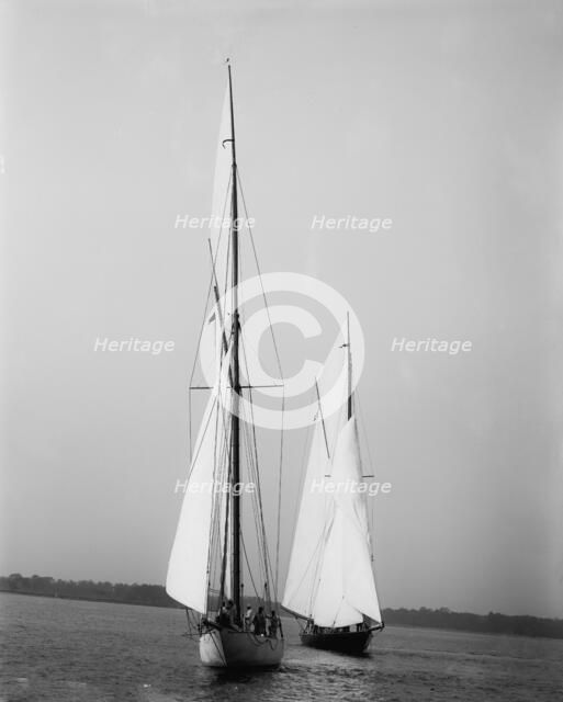 Wasp and Queen Mab, 1894 Sept 22. Creator: John S Johnston.