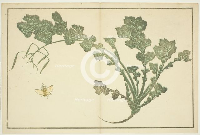 Wasp and turnip stalk, from "The Picture Book of Realistic Paintings of Hokusai...", Japan, c. 1814. Creator: Hokusai.