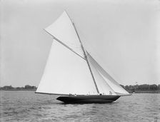 Wasp, June 11, 1892, 1892 June 11. Creator: Unknown