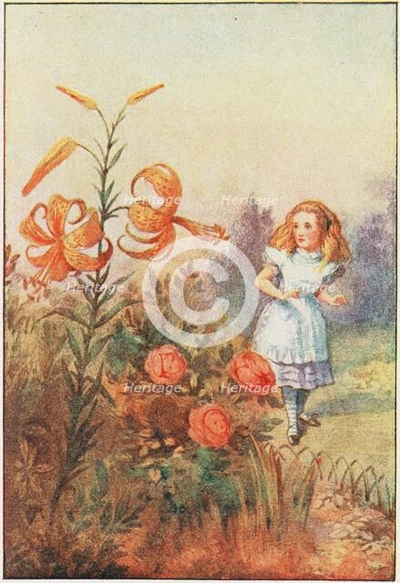 We can talk, said the Tiger Lily , 1911. Creator: Tenniel, Sir John (1820-1914).
