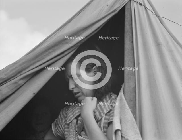 We made good money in the cherries this year, FSA unit, Merrill, Klamath County, Oregon, 1939. Creator: Dorothea Lange.
