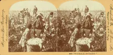 We'se done all dis's Mornin " [Girls with basket of cotton in the field], (1868-1900?). Creator: Unknown