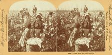We'se done all dis's Mornin " [Girls with basket of cotton in the field], (1868-1900?). Creator: Unknown