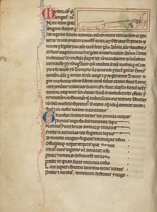 Weasels; Northumberland Bestiary, about 1250-1260. Creator: Unknown