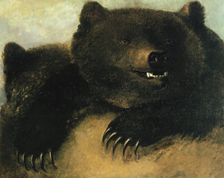 Weapons and Physiognomy of the Grizzly Bear, 1846-1848. Creator: George Catlin