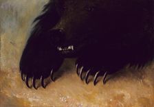 Weapons and Physiognomy of the Grizzly Bear, 1846-1848. Creator: George Catlin