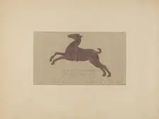 Weather Vane, c. 1936. Creator: Elmer G Anderson